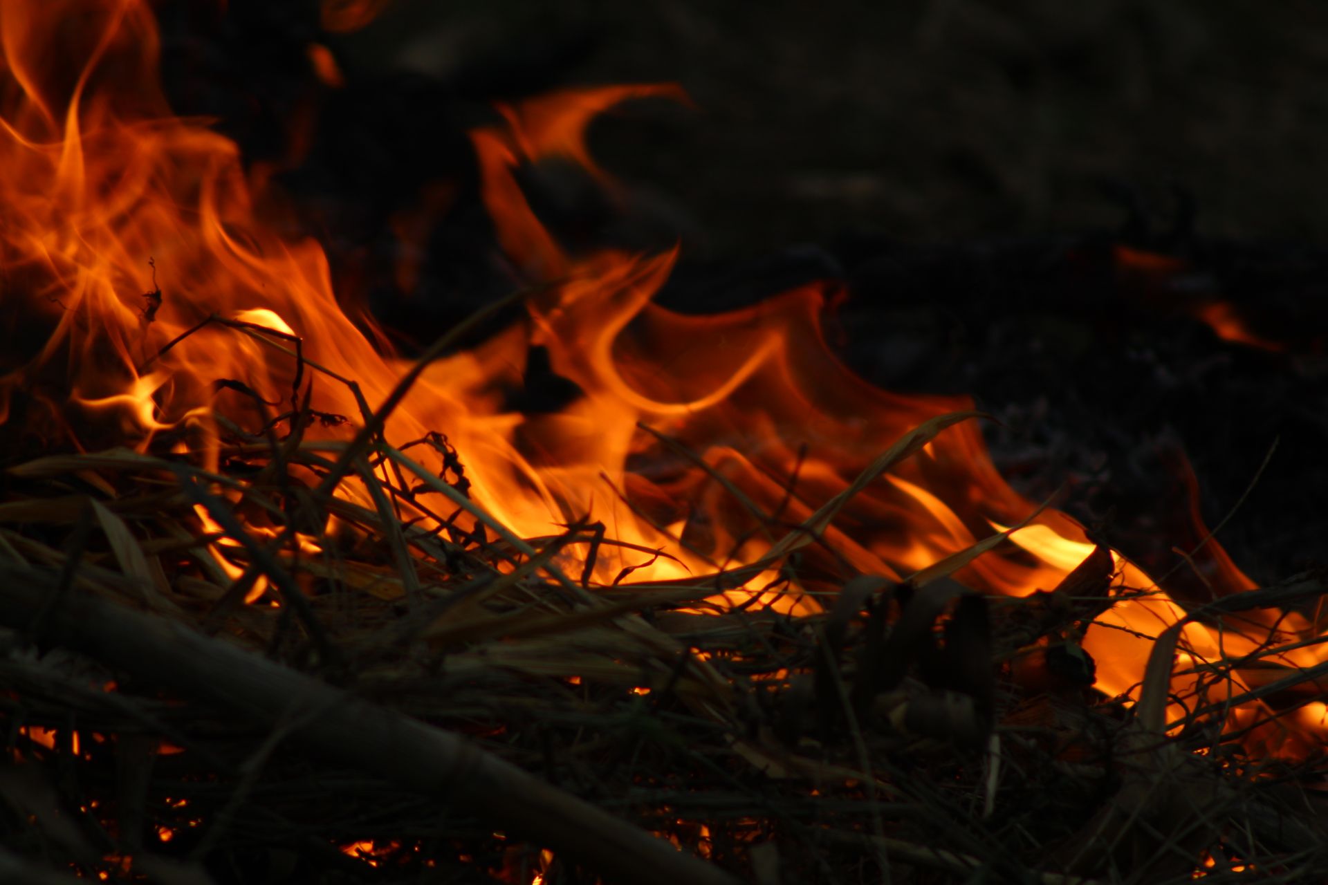 widlfire-washington-resources