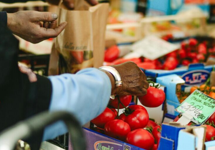 pexels-prakriti-khajuria-17630620-23939073