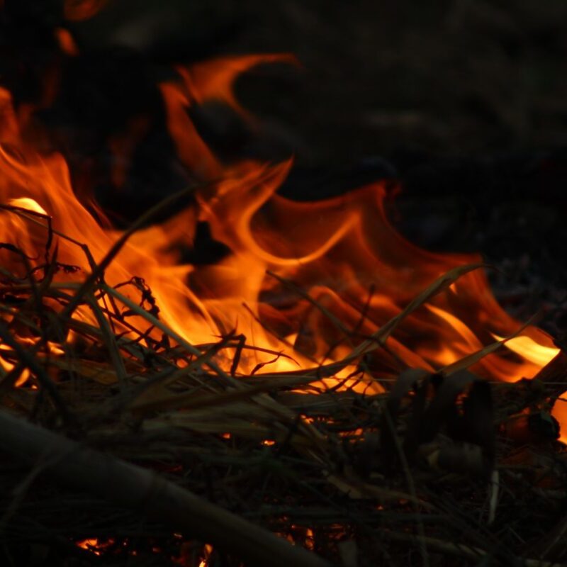 widlfire-washington-resources