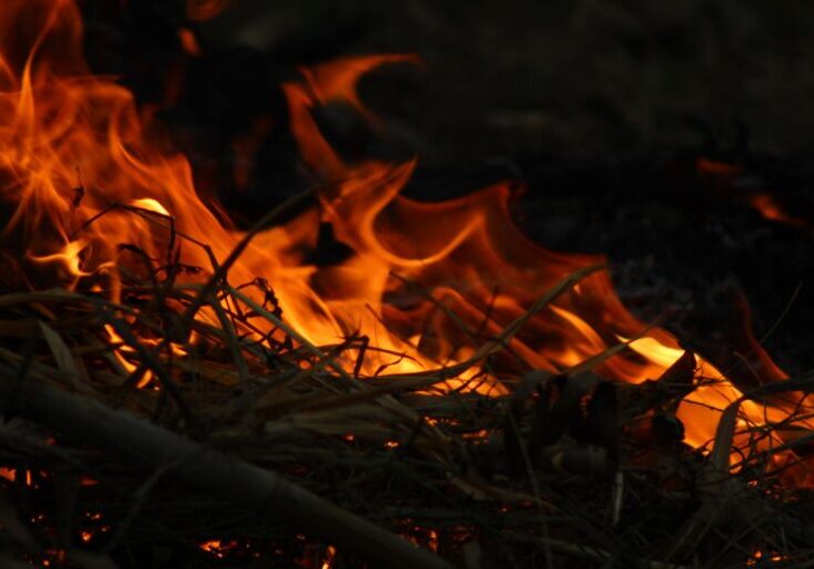 widlfire-washington-resources